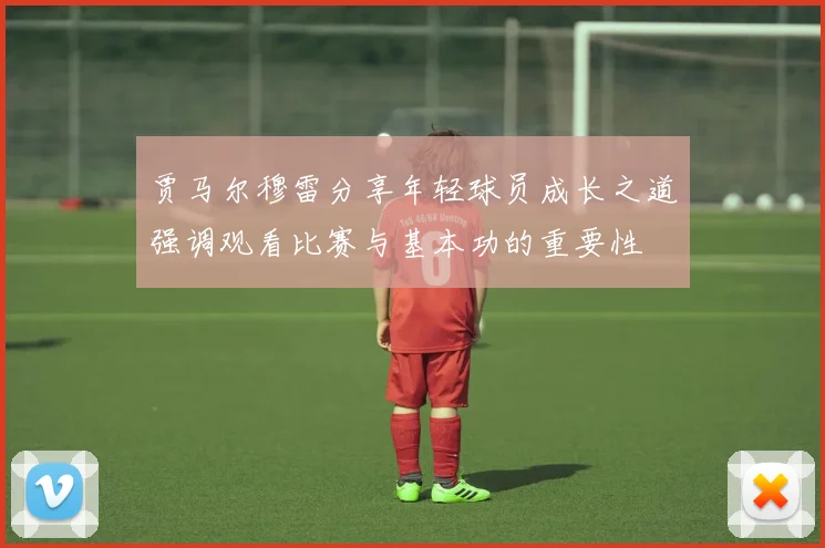 贾马尔穆雷分享年轻球员成长之道强调观看比赛与基本功的重要性